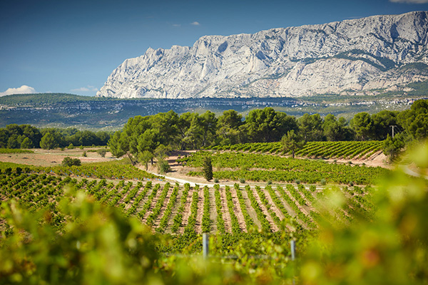 Ein historischer Moment: Sainte-Victoire wird erster Cru der Provence