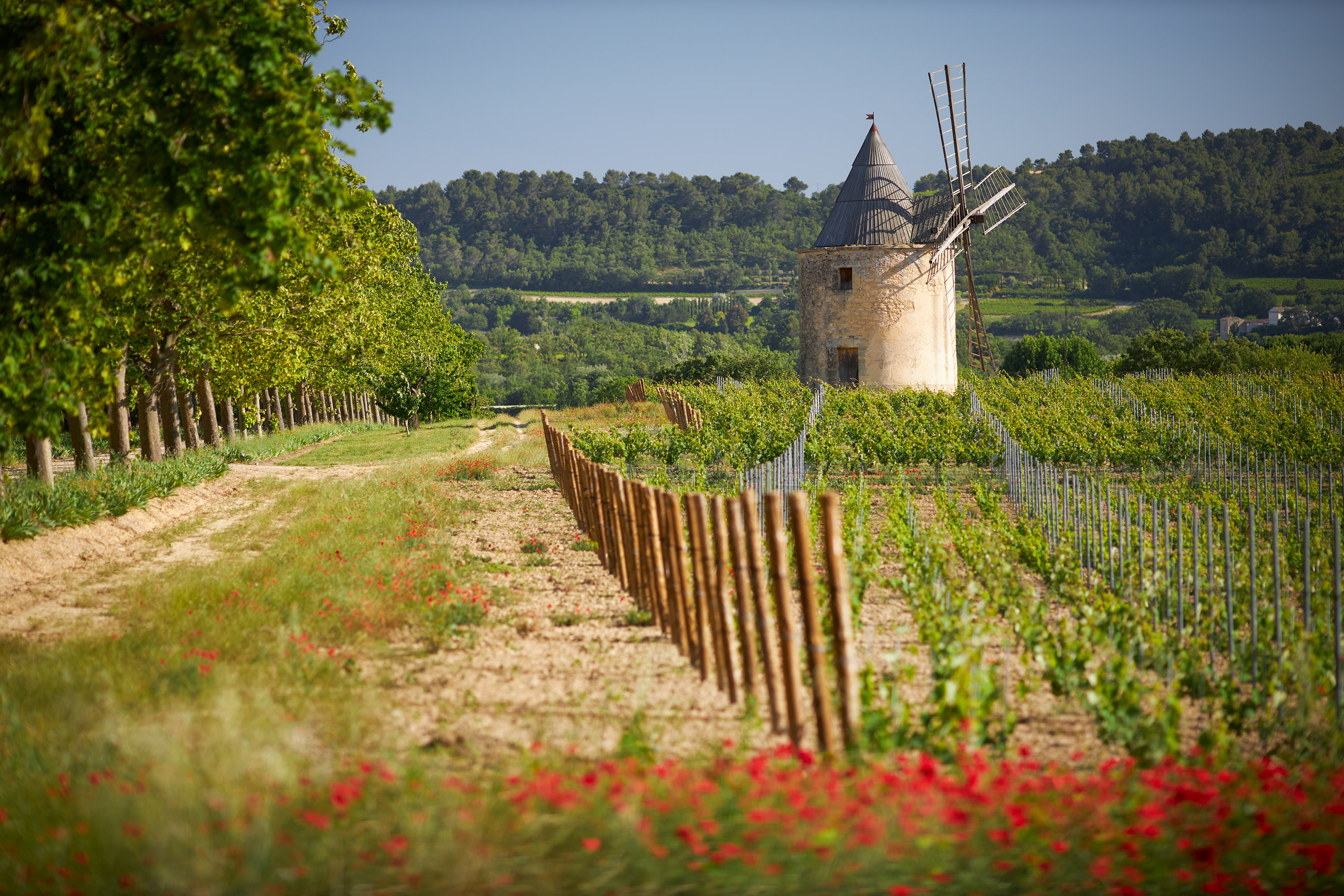 Luberon - ein Fest für alle Sinne! Château de Sannes jetzt NEU bei MASTERWEIN
