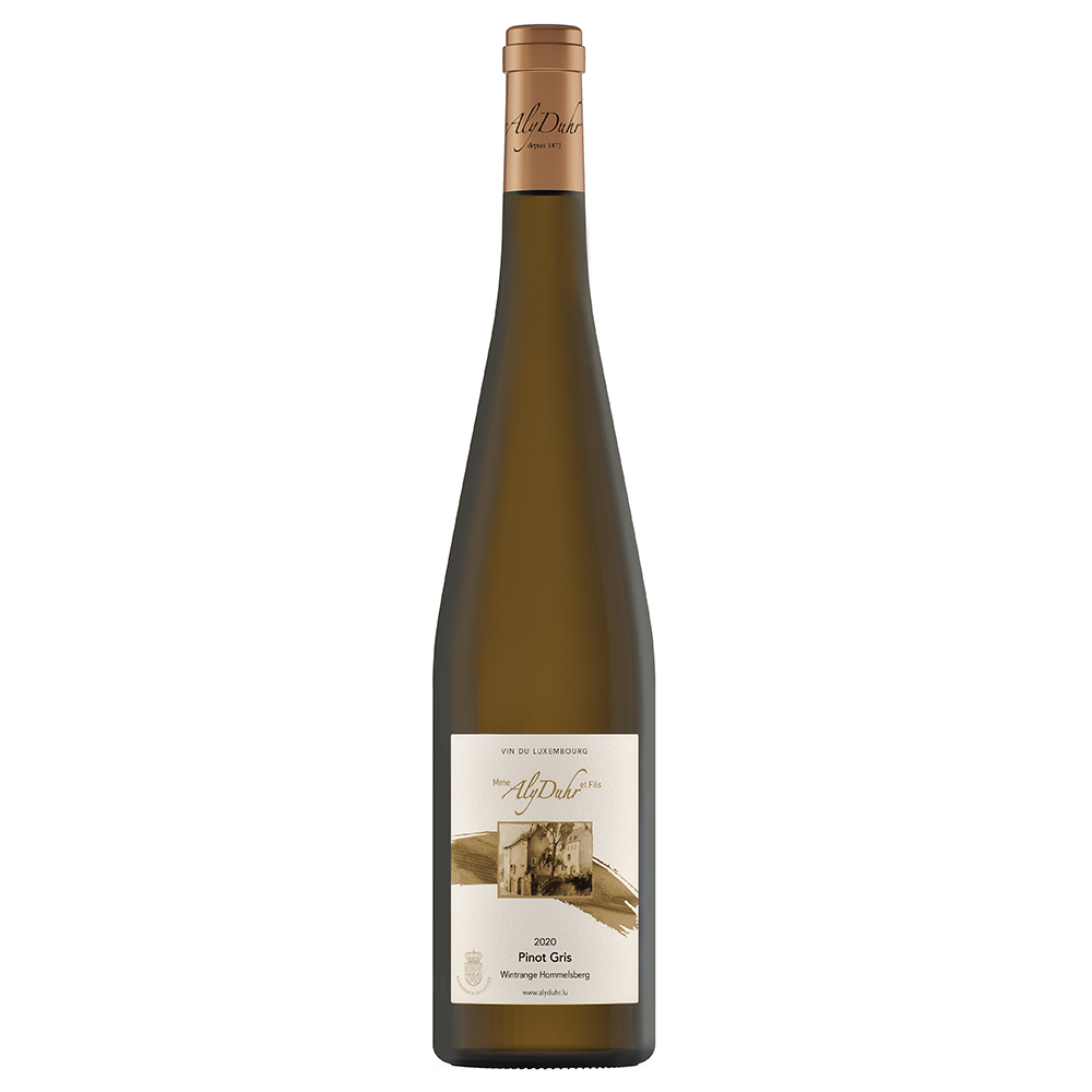 Pinot Gris Hommelsberg 2020 BIO Pinot Gris Hommelsberg 2020 BIO