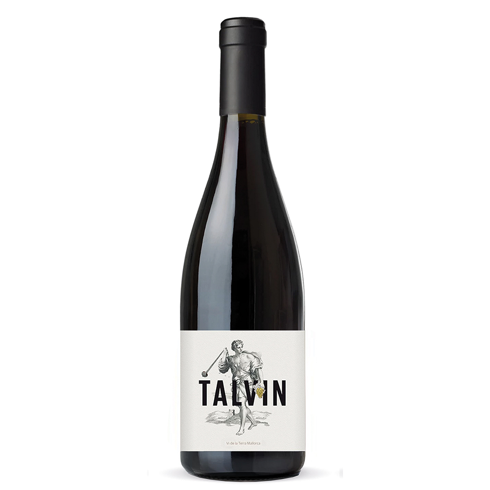 Talvin 2020