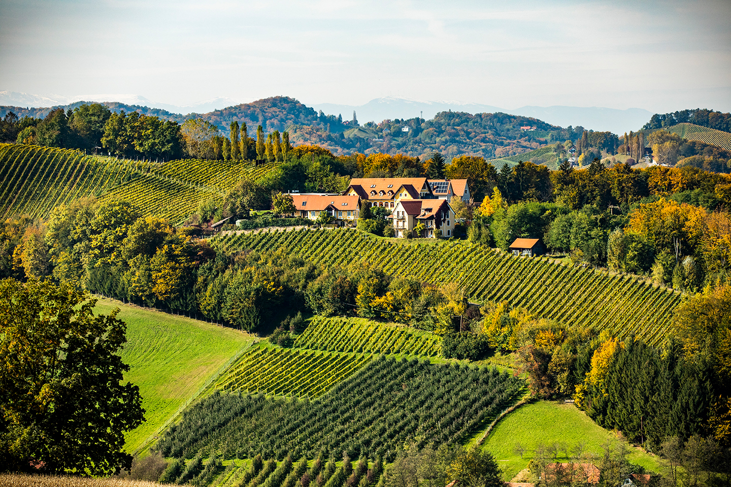 Dinieren im Weingut-Restaurant: Der Guide Michelin stellt 18 TOP-Weingut Restaurants weltweit vor. Mit dabei: Sattlerhof in der Steiermark