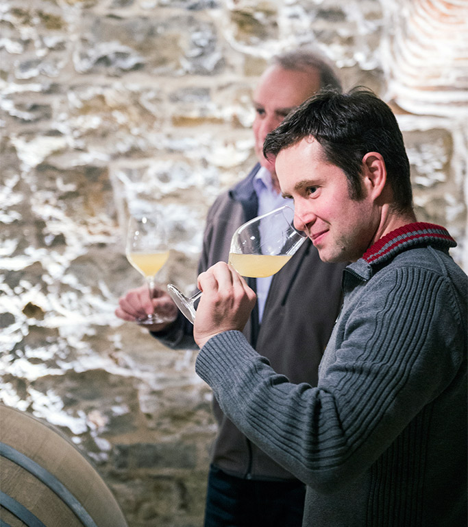 WAHNSINN! Traumhafte Silvaner-Kollektion von Rainer Sauer